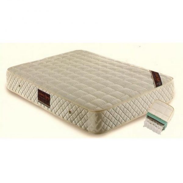 1615395504486 1615395504486